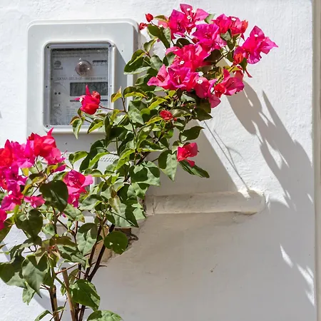 Argiro's House - Chania Old Town