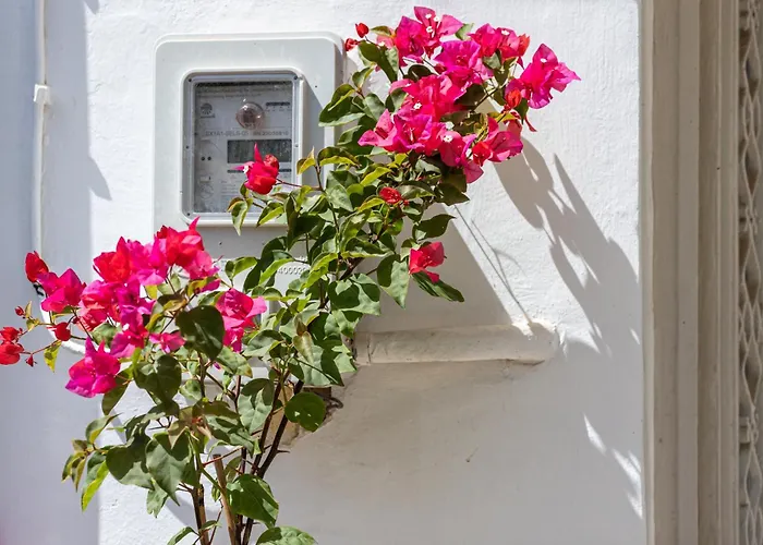 Argiro's House - Chania Old Town
