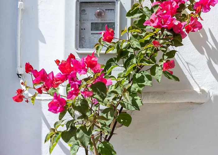 Argiro's House - Chania Old Town *