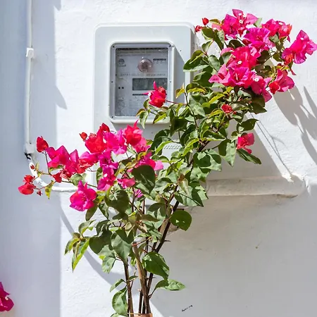 Argiro's House - Chania Old Town *